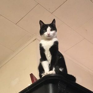 Meet your Posher, Karlee